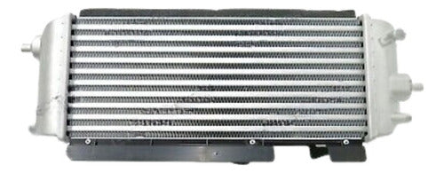 Radiador Aceite Hyundai New Porter 05 11 Alternativo 264104F000