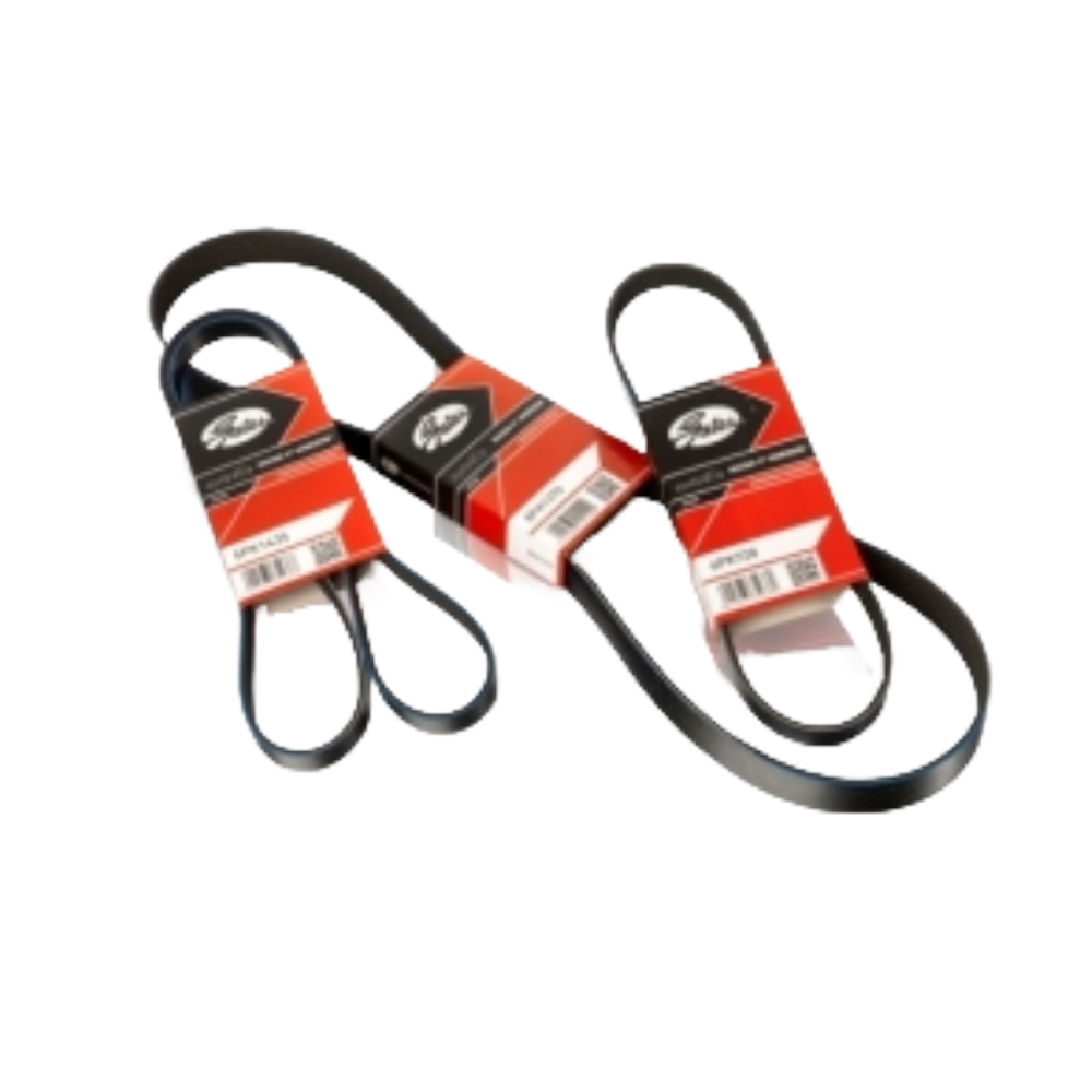 Correas Automotrices - MSREPUESTOS