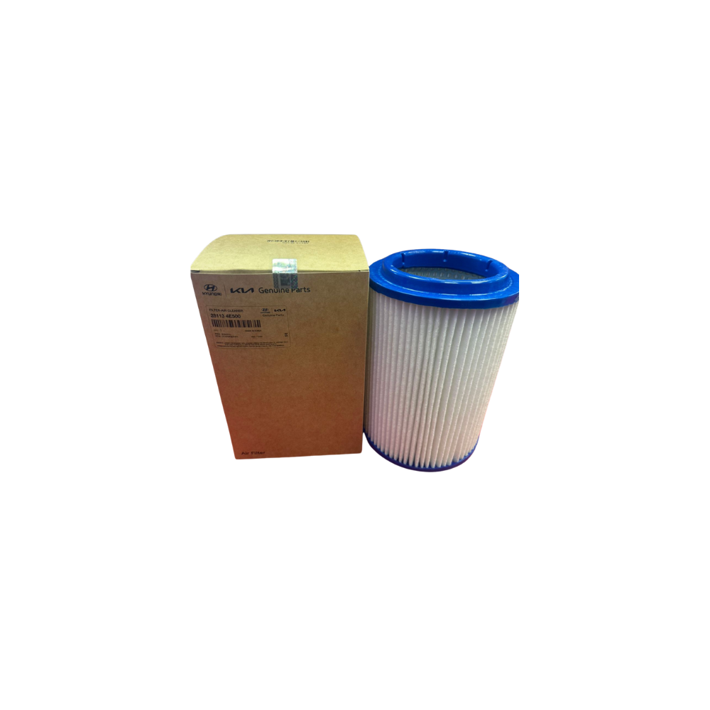 Filtro Aire 25 Original 05-11