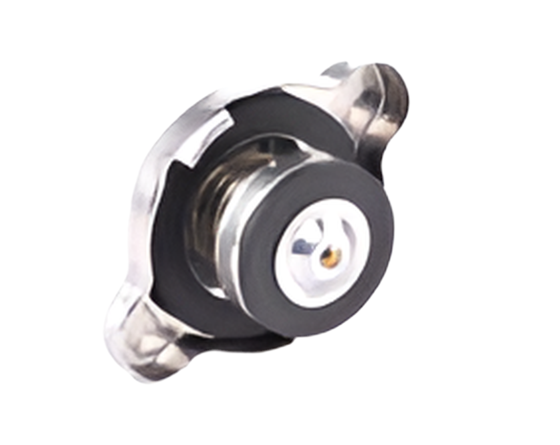 Tapa Radiador Hyundai Accent Original 1.1 253303Z000