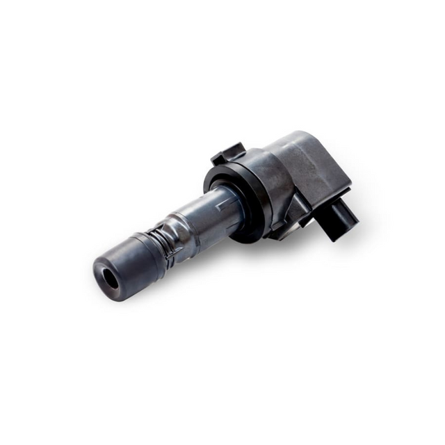 Bobina  273013E100 New Santa Fe 07 - 10 Original
