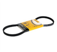 Correa Alternador Dongil Korea 2521542062